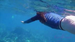 Ashley loves the snorkeling and you getting her off in the car.