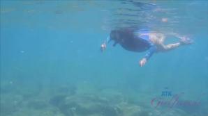 You snorkel with Sophia, and she sucks you.